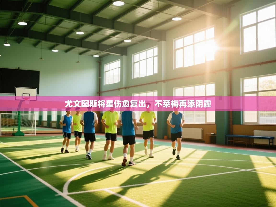 -尤文图斯将星伤愈复出，不莱梅再添阴霾  第1张