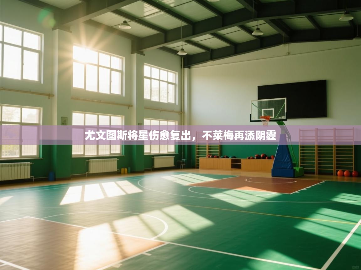 -尤文图斯将星伤愈复出，不莱梅再添阴霾  第4张