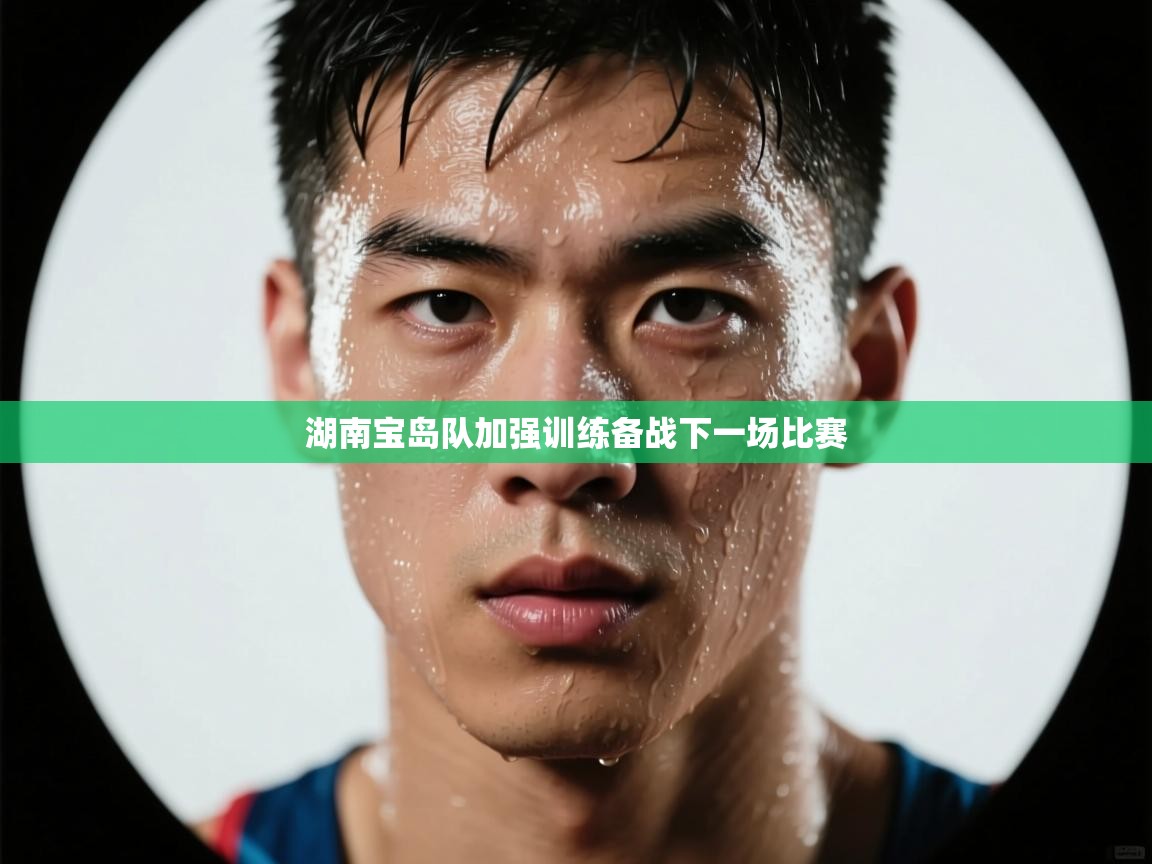 开云体育在线下载-湖南宝岛队加强训练备战下一场比赛  第1张