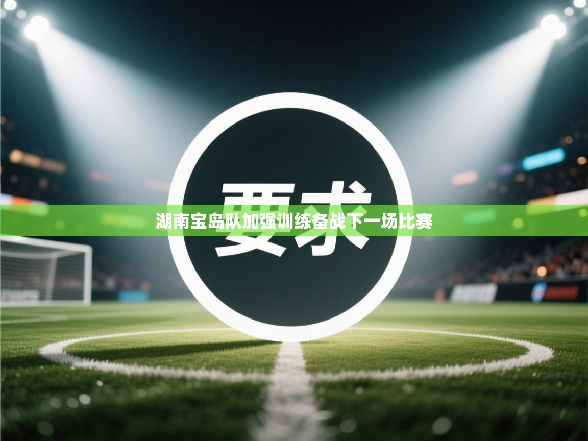 开云体育在线下载-湖南宝岛队加强训练备战下一场比赛  第4张