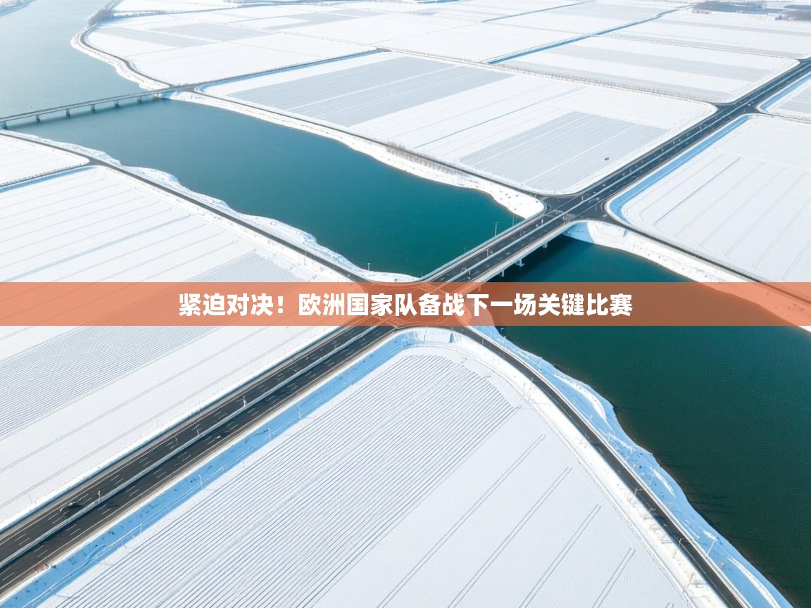 开云网页版-紧迫对决！欧洲国家队备战下一场关键比赛  第2张