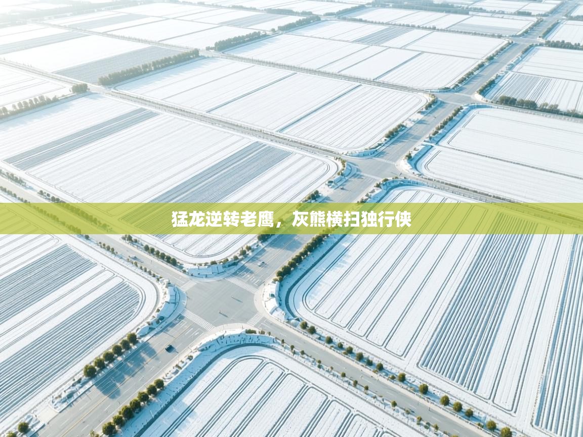 开云体育入口邀请码-猛龙逆转老鹰,灰熊横扫独行侠 第2张