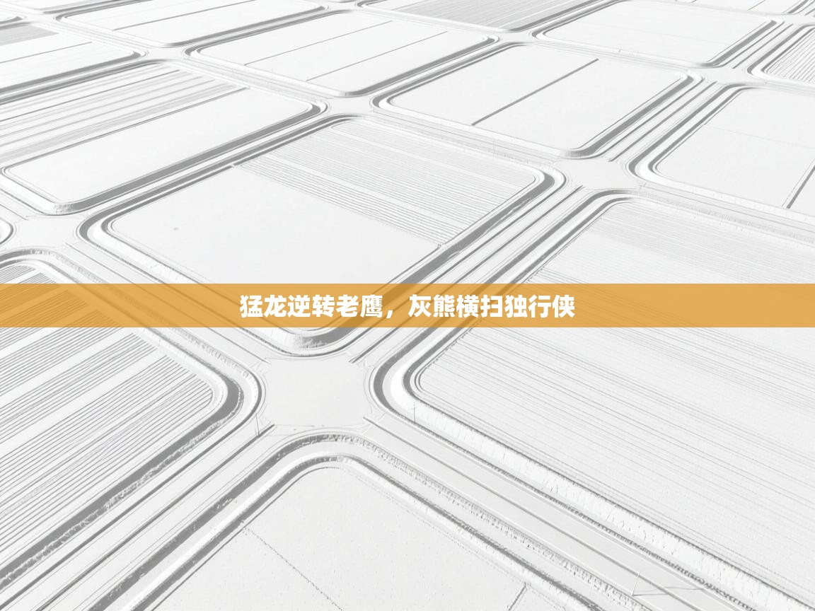 开云体育入口邀请码-猛龙逆转老鹰,灰熊横扫独行侠 第3张