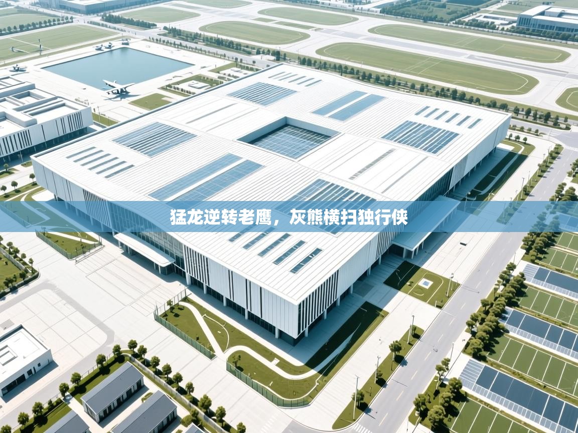 开云体育入口邀请码-猛龙逆转老鹰,灰熊横扫独行侠 第4张