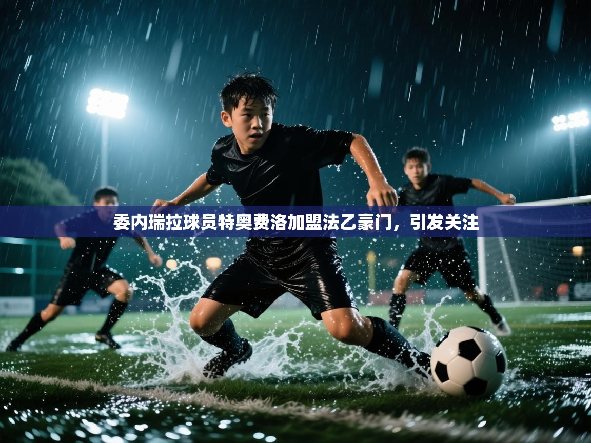 kaiyun-委内瑞拉球员特奥费洛加盟法乙豪门，引发关注  第1张