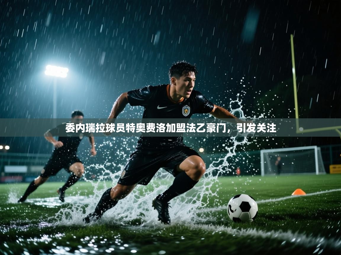 kaiyun-委内瑞拉球员特奥费洛加盟法乙豪门，引发关注  第3张