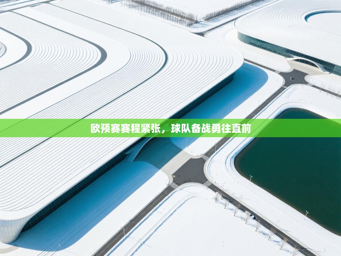 开云kaiyun体育app入口登录官网-欧预赛赛程紧张，球队备战勇往直前  第1张