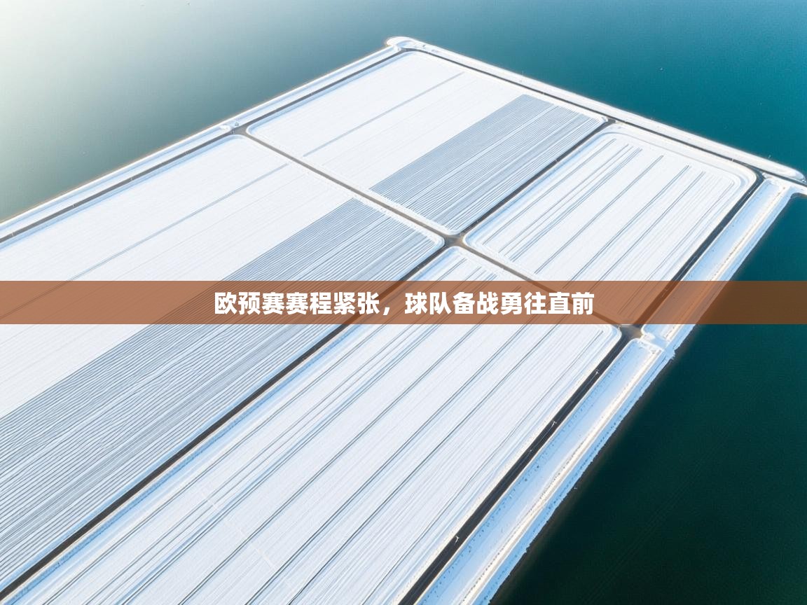 开云kaiyun体育app入口登录官网-欧预赛赛程紧张，球队备战勇往直前  第4张